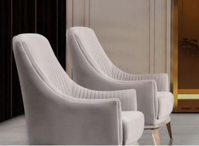 Armchair Group Wing Chair Modern Fabric Seater Polyester 2-piece Set Gray